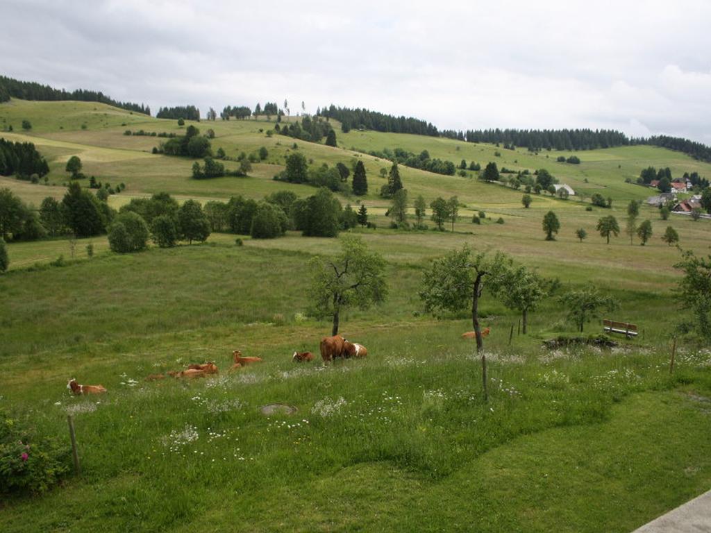 מלון Ibach Haus Tannenhof מראה חיצוני תמונה